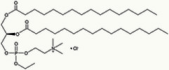 1,2-Dipalmitoyl-sn-glycero-3-ethylphosphocholine chloride DPePC